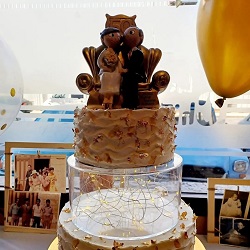 Galería de imágenes