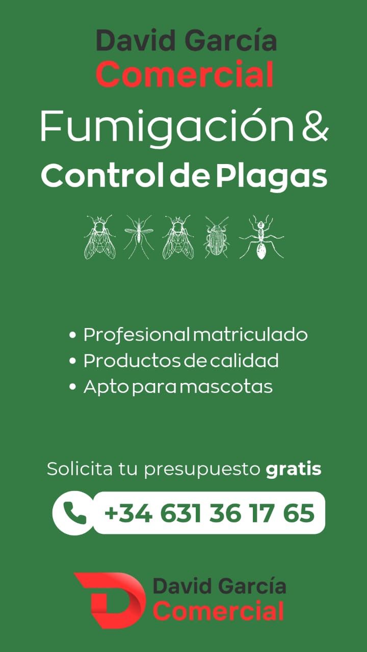 Galería de imágenes