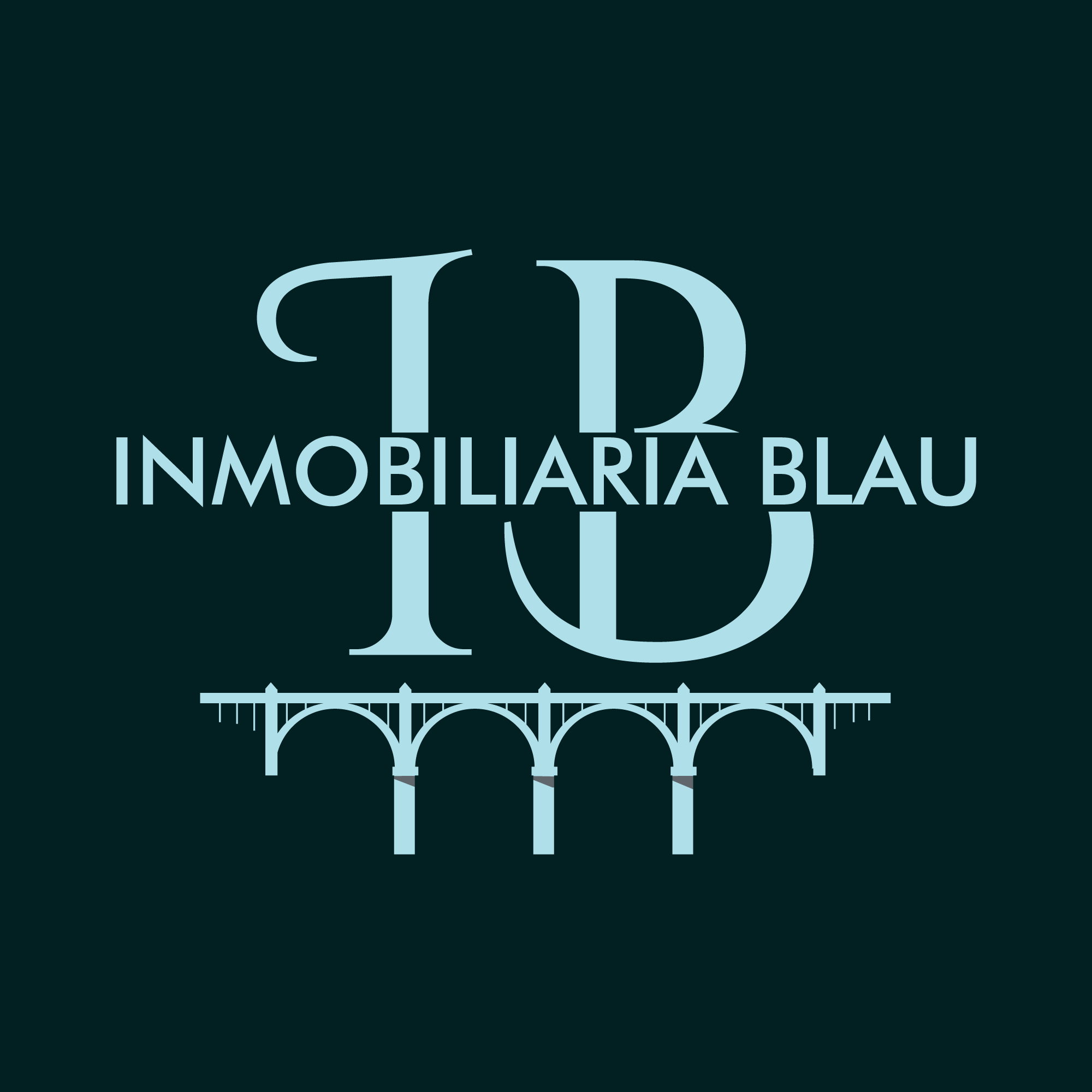Inmobiliaria Blau