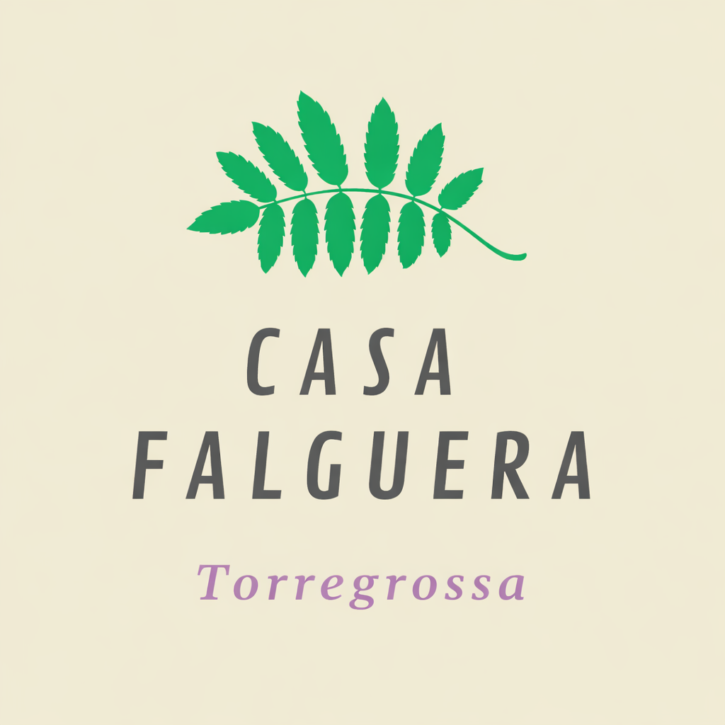 Casa Falguera