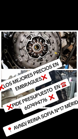 Galería de imágenes