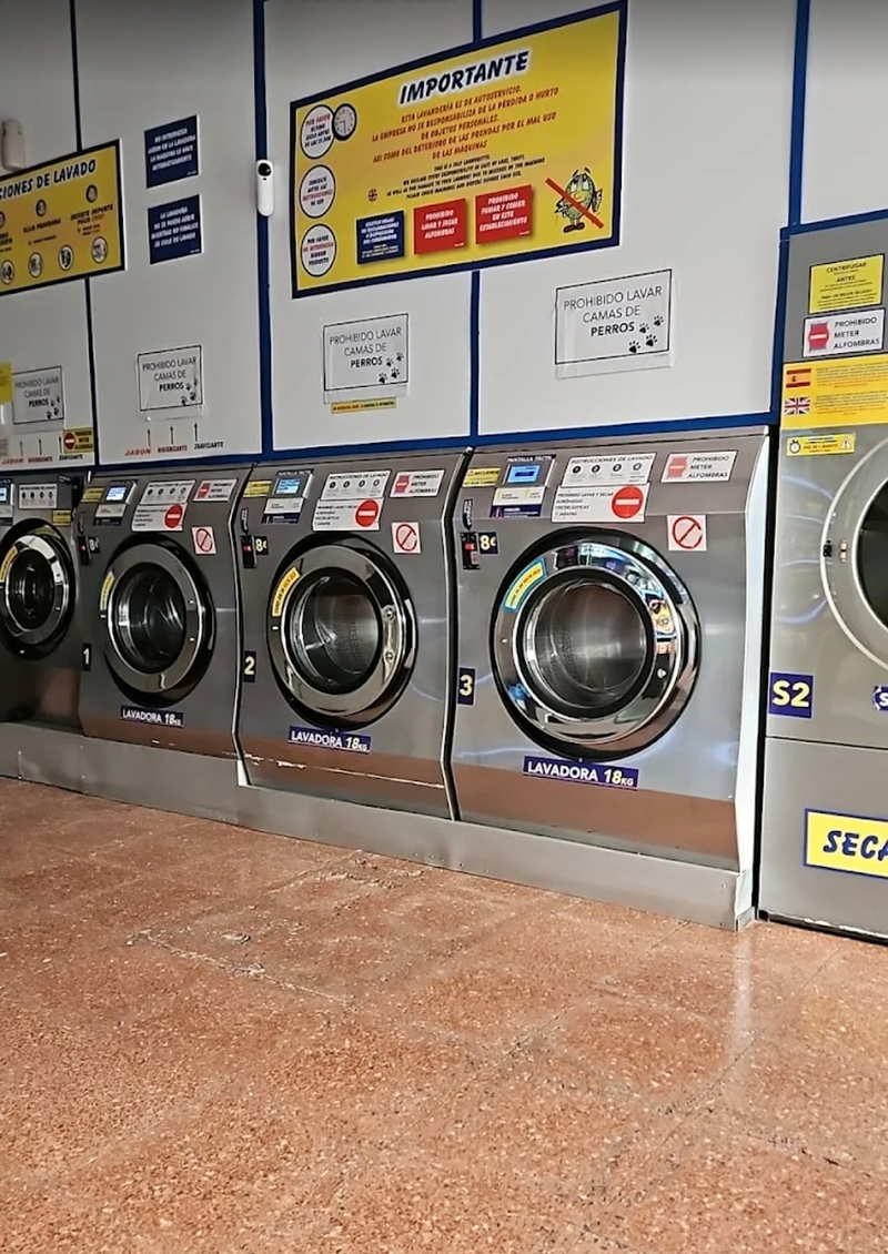 Lavander&iacute;a Valencia 22 4