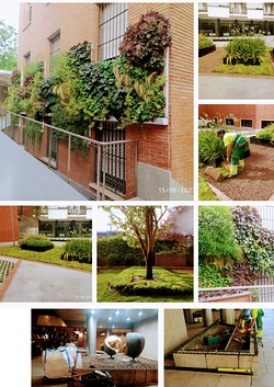 Galería de imágenes