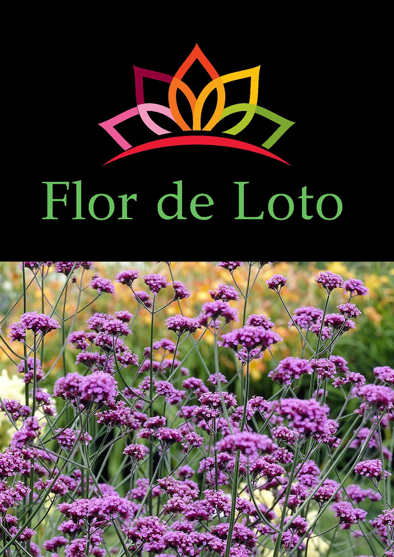 Flor de Loto JARDINERIA: EMPRESAS DE SERVICIOS