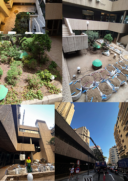 Galería de imágenes