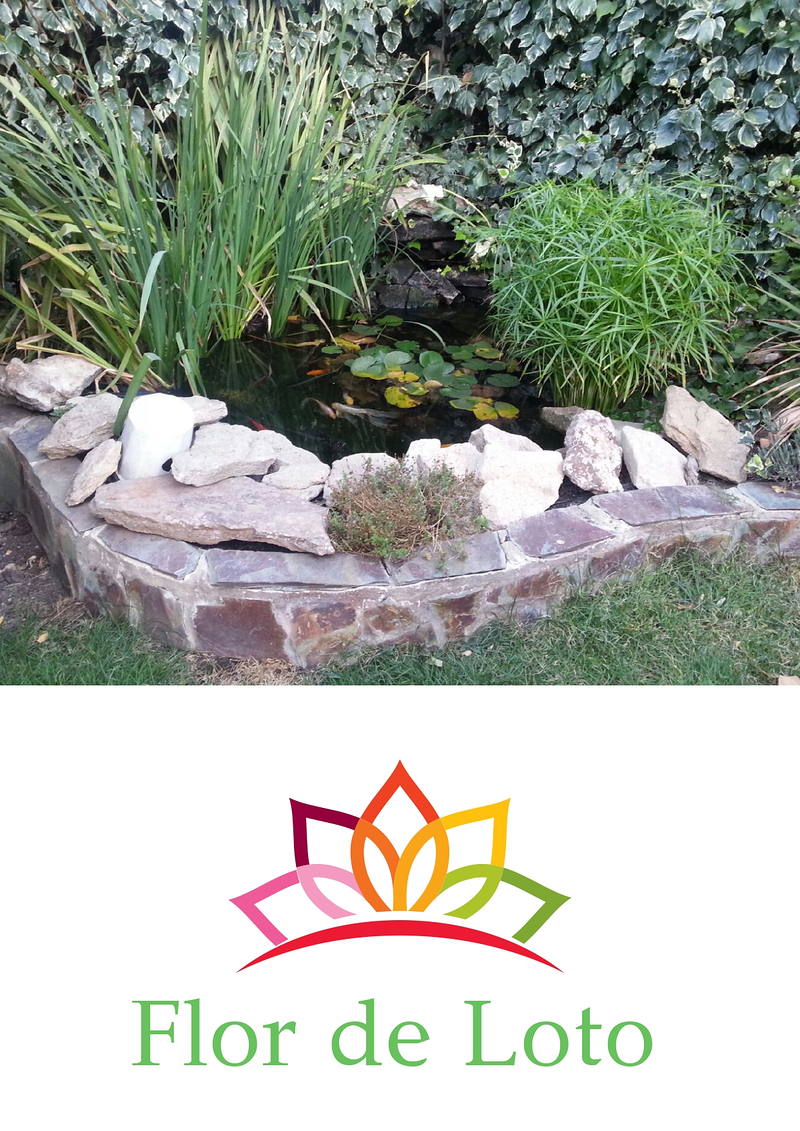 Flor de Loto 20