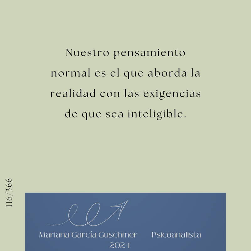 Mariana Garcia Guschmer 12