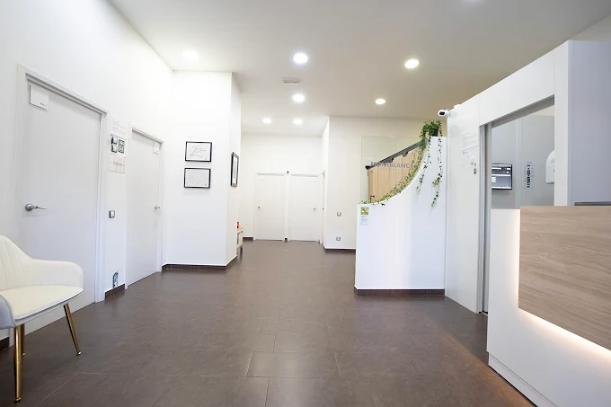 Montblanc Dental Arts 4