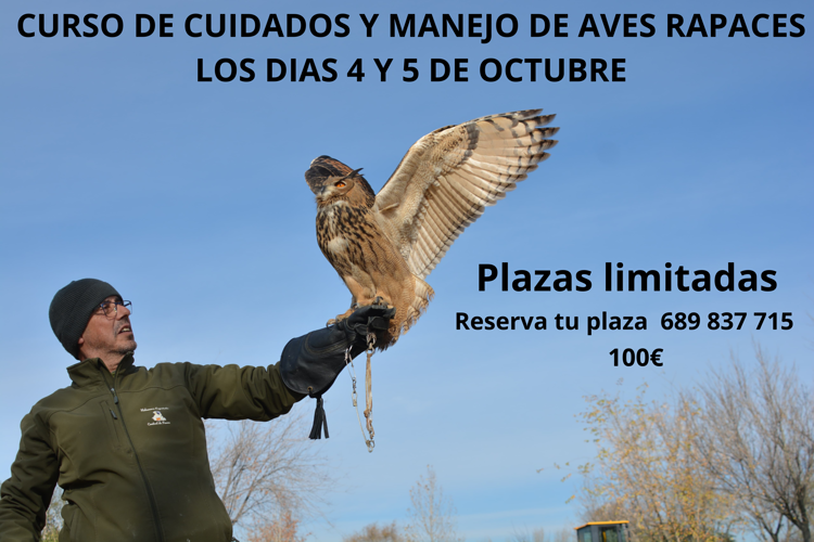 Halconera Espa&ntilde;ola - Control De Fauna Sevilla la Nueva