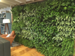 Galería de imágenes