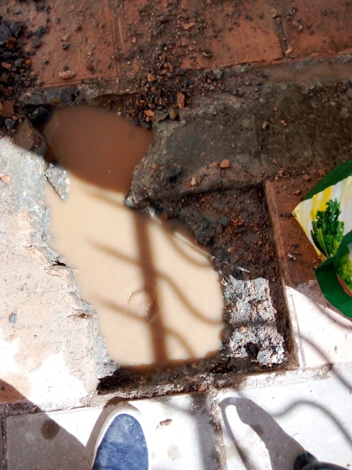 Reformas Carlos William 9