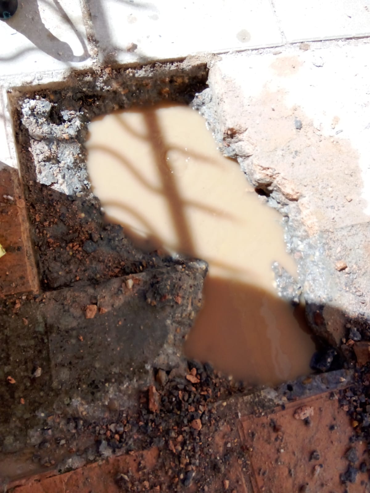 Reformas Carlos William 15