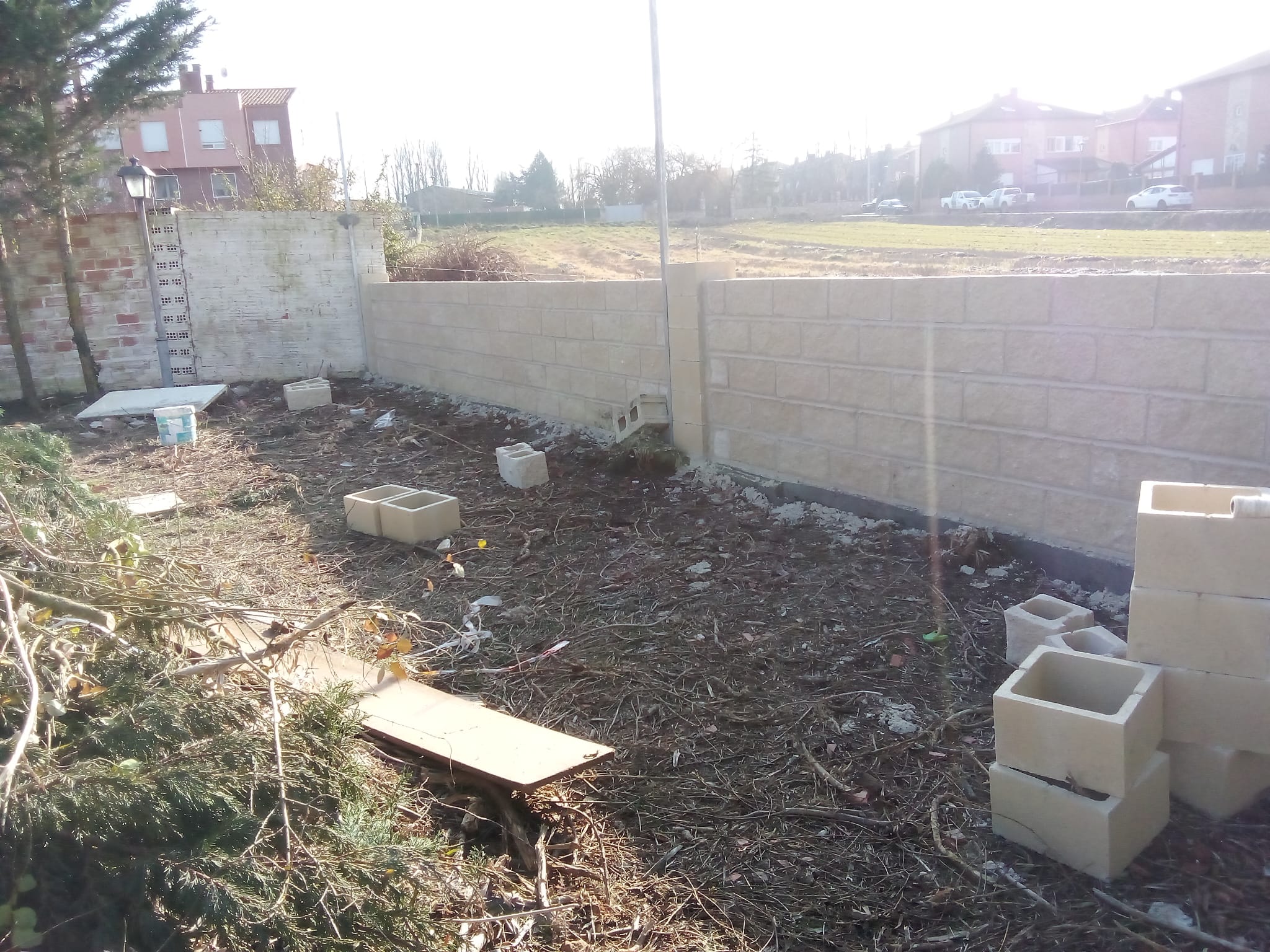 Reformas Carlos William 3