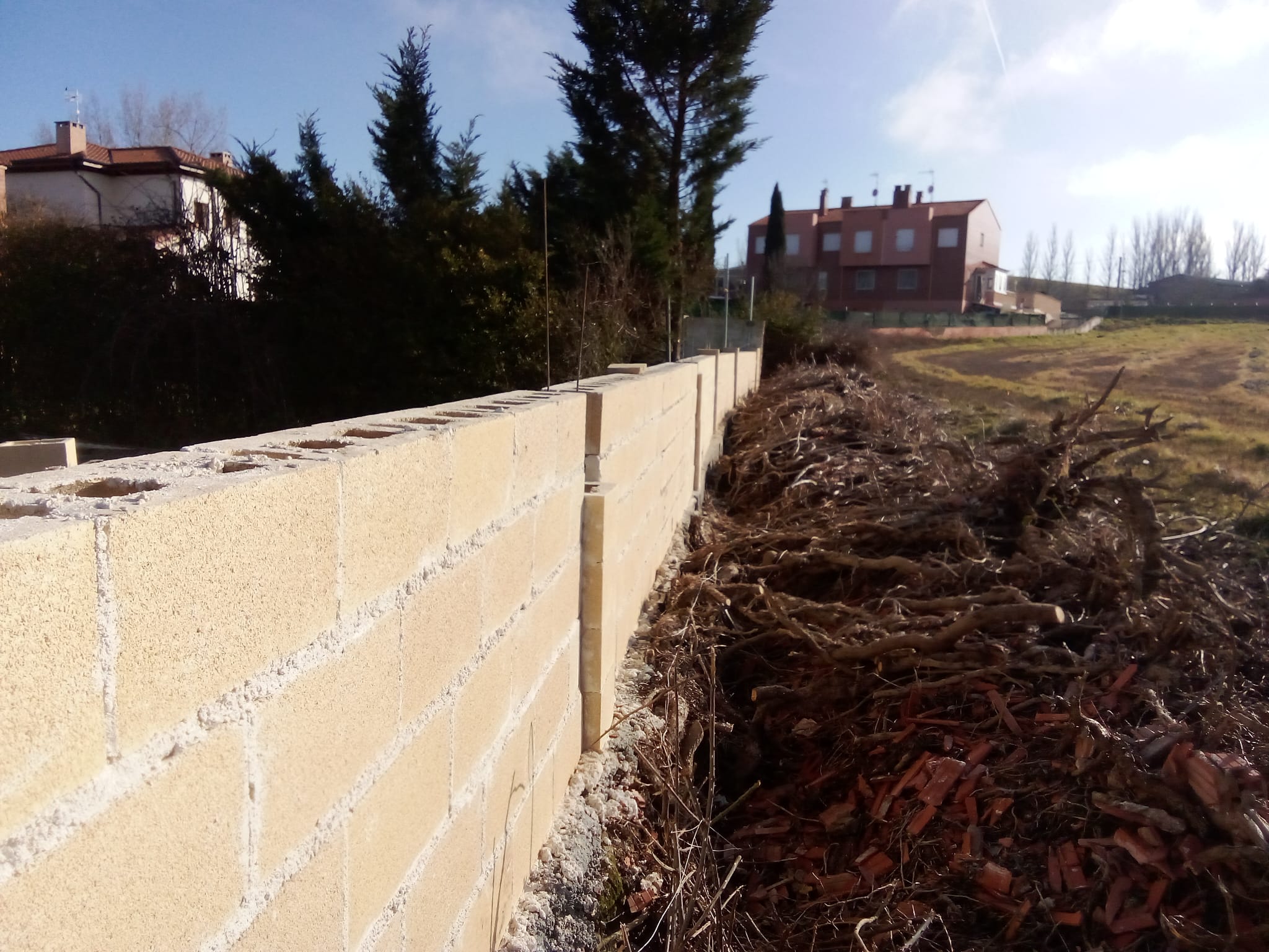 Reformas Carlos William 33