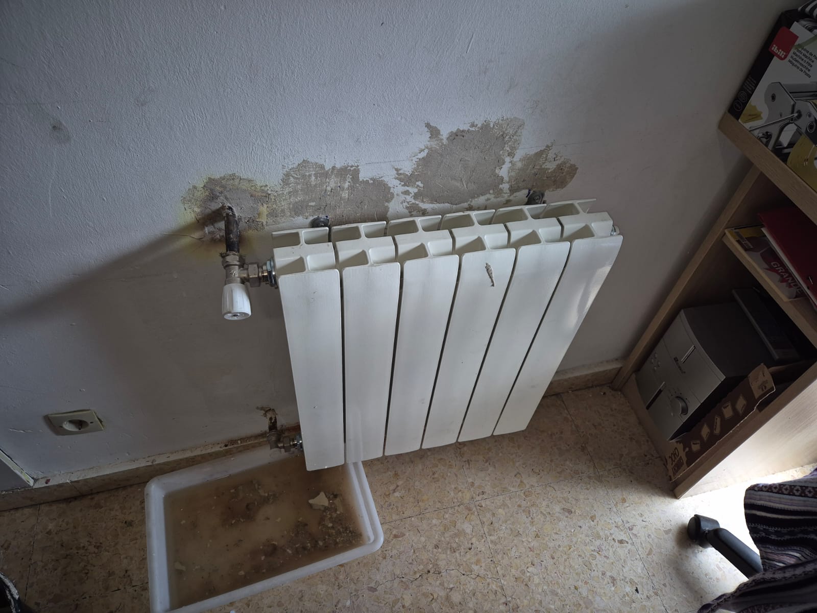 Reformas Carlos William 43