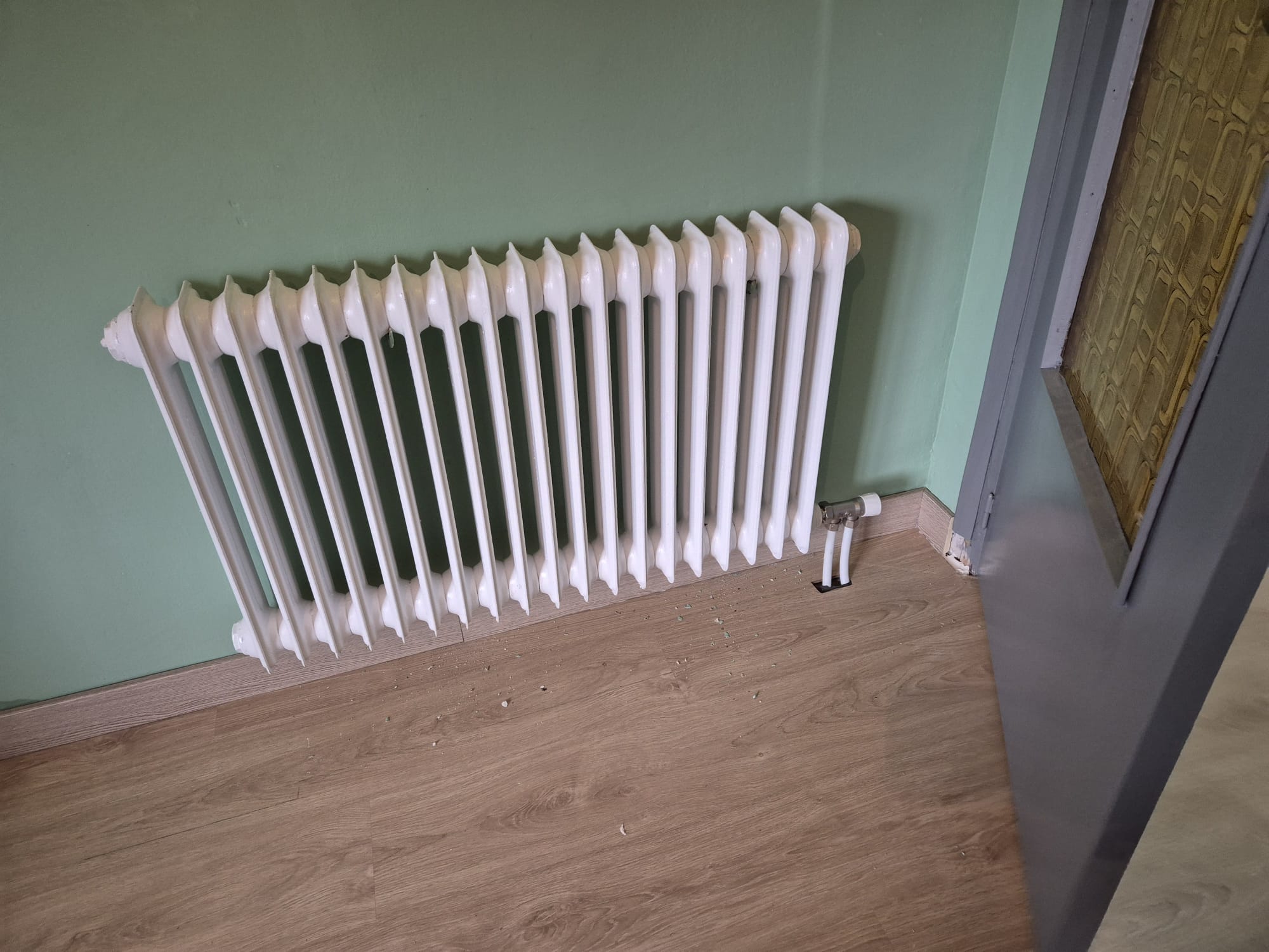 Reformas Carlos William 37