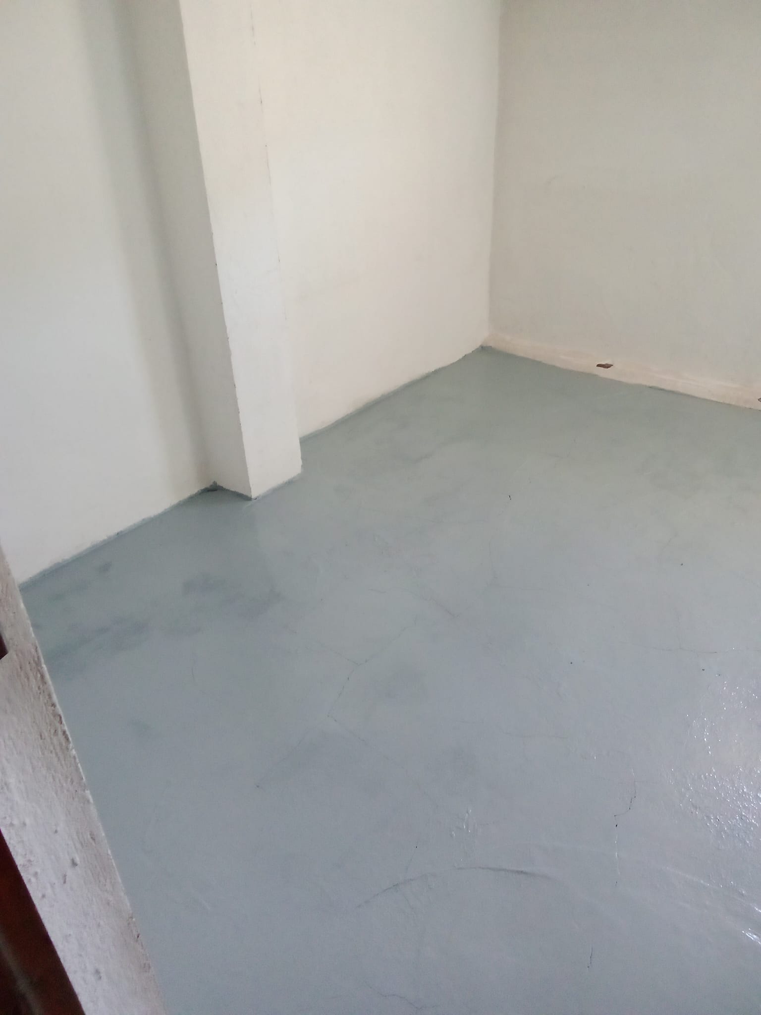 Reformas Carlos William 7