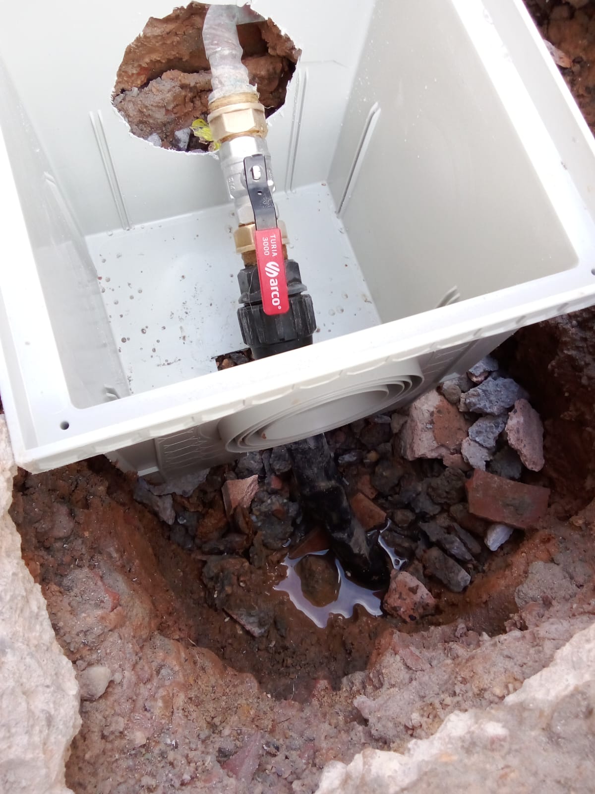 Reformas Carlos William 14