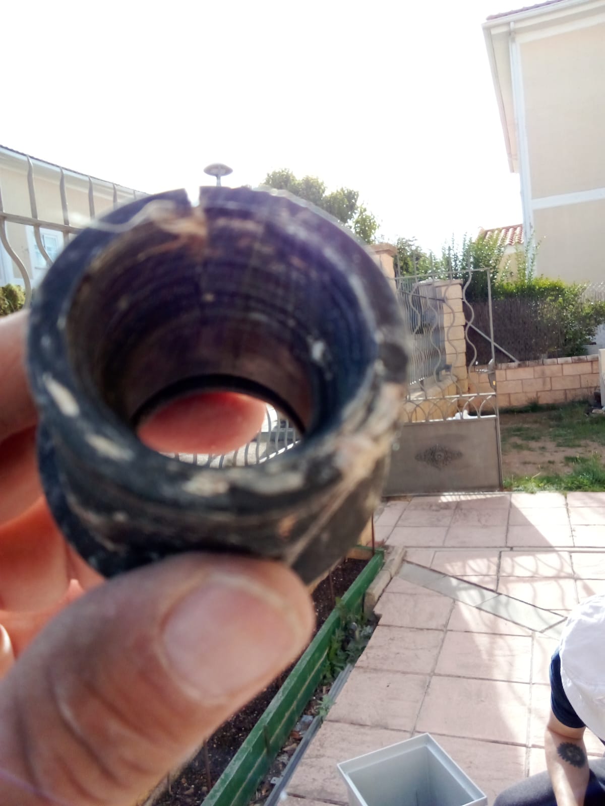 Reformas Carlos William 16