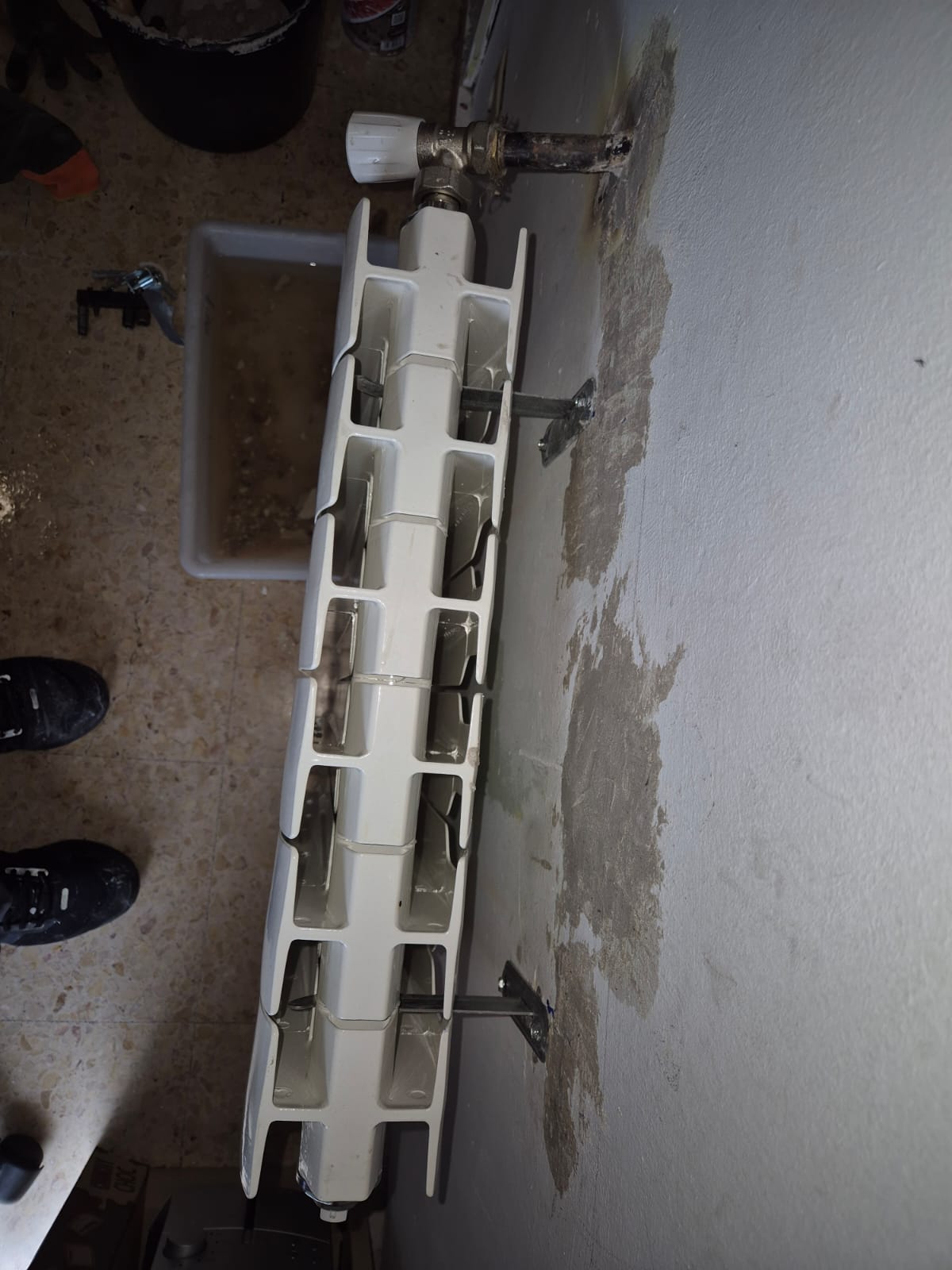 Reformas Carlos William 5