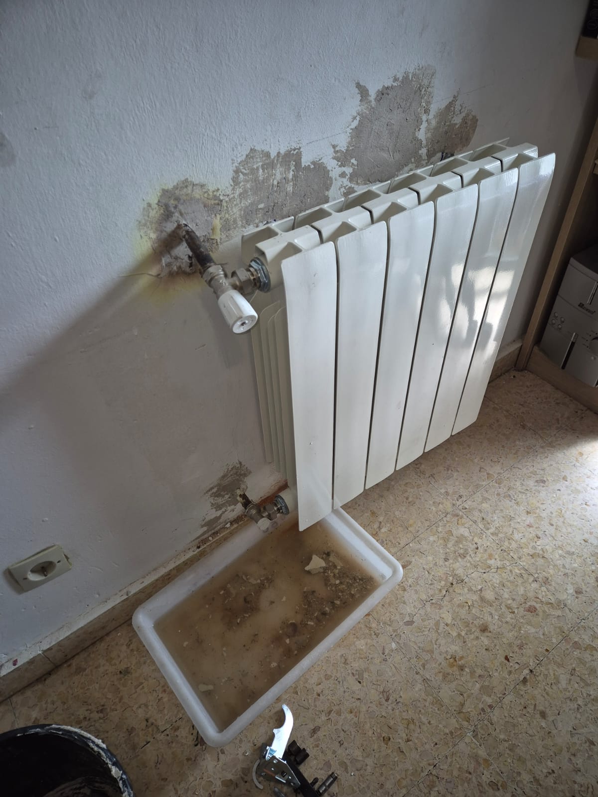 Reformas Carlos William 4