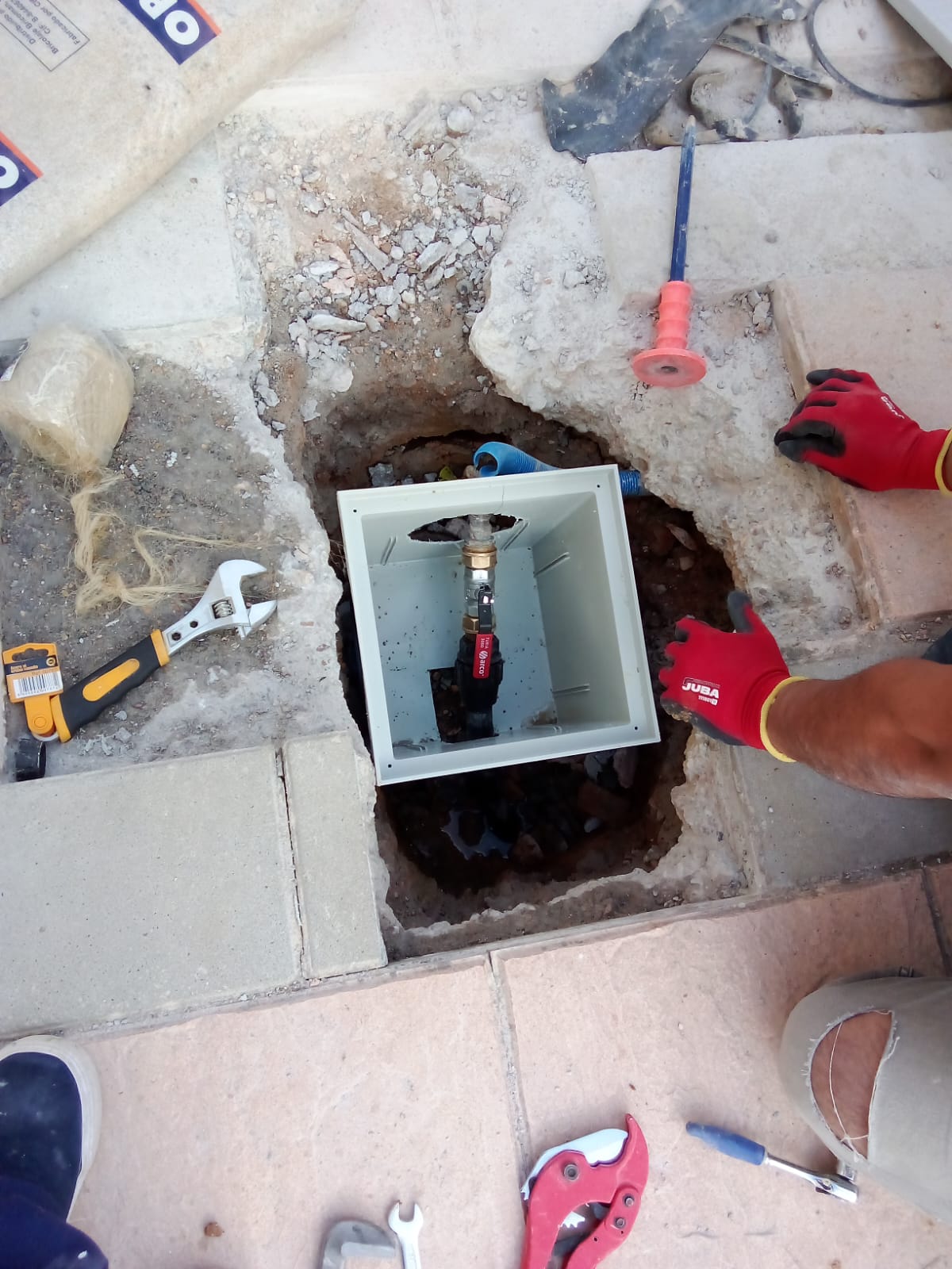 Reformas Carlos William 17