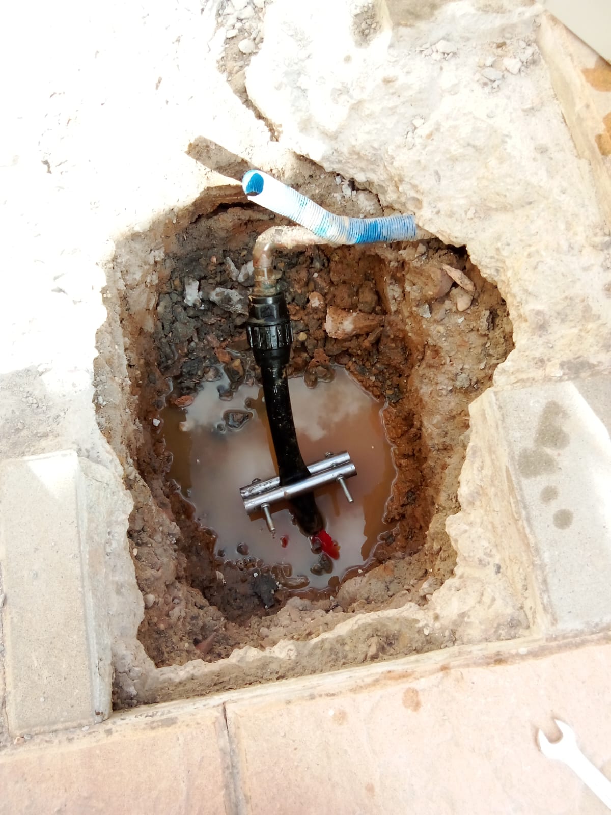 Reformas Carlos William 12