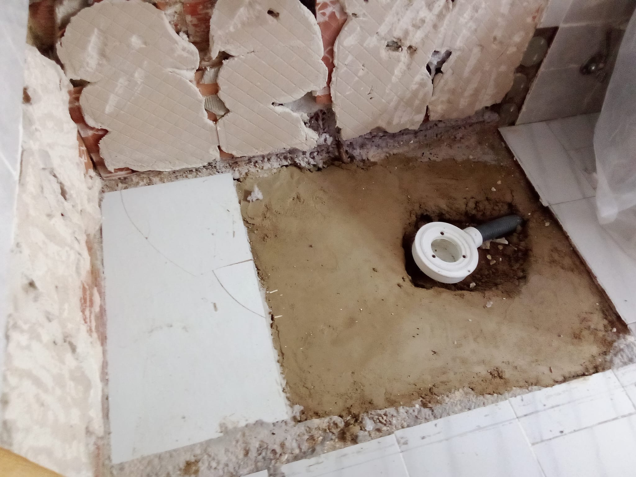 Reformas Carlos William 21