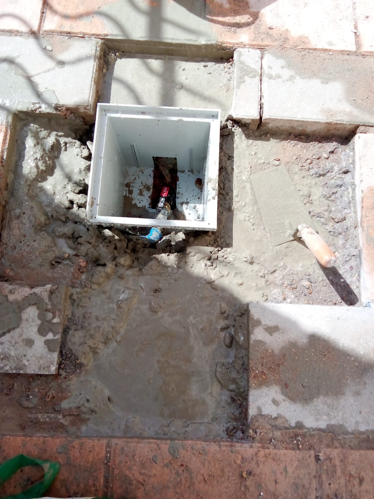 Reformas Carlos William 19