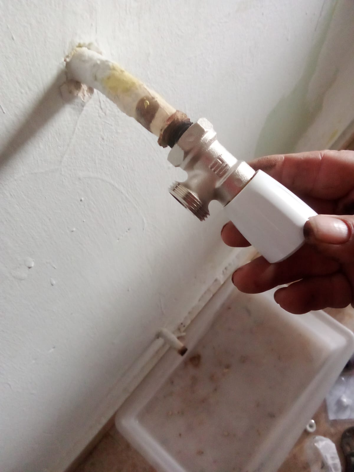 Galería de imágenes