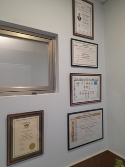 Galería de imágenes