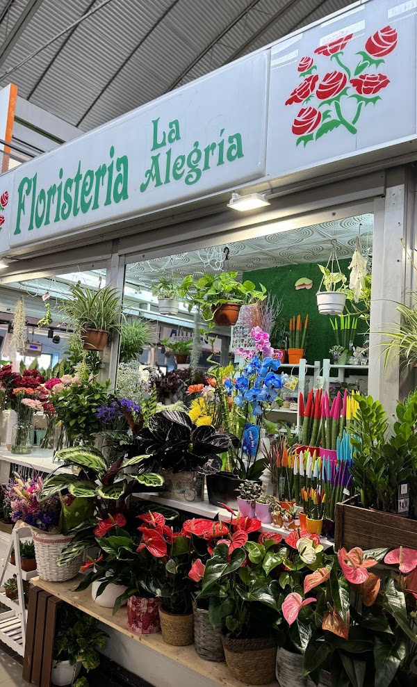 Floristería La Alegría