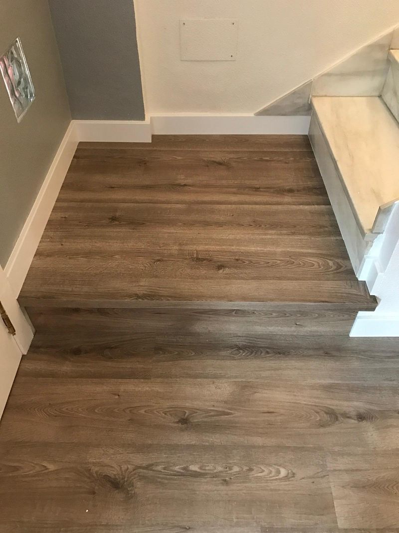 Reformas Vaca Santos 18