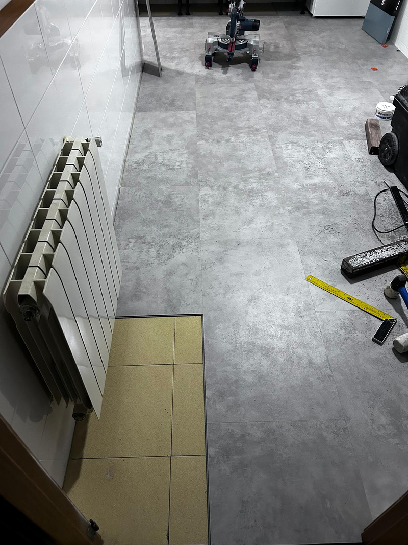 Reformas Vaca Santos 31