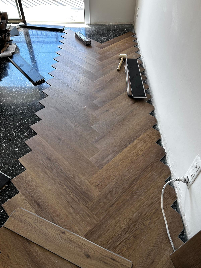 Reformas Vaca Santos 11