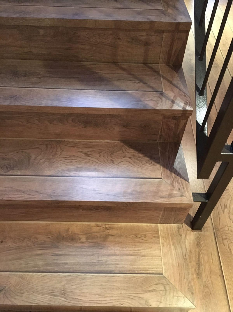 Reformas Vaca Santos 8