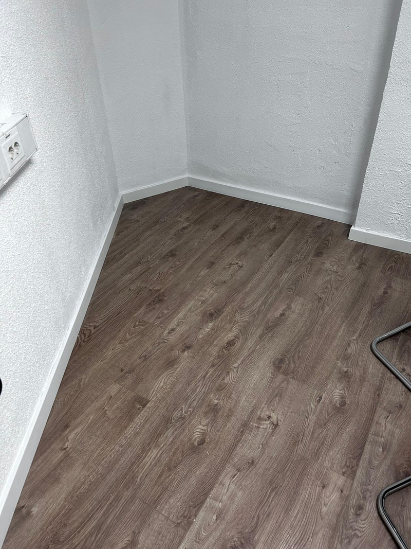 Reformas Vaca Santos 2