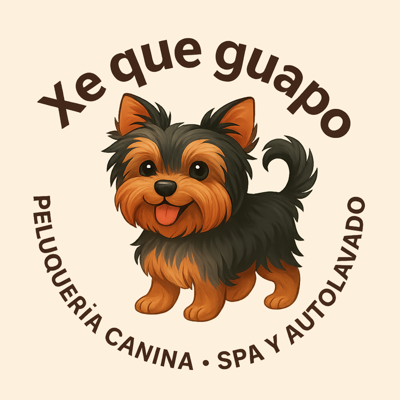 xe que guapo