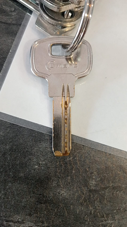 Galería de imágenes