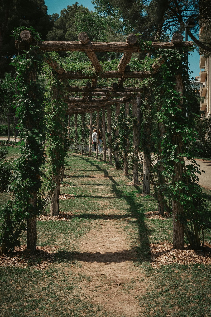 Multiservicios Alfan 22