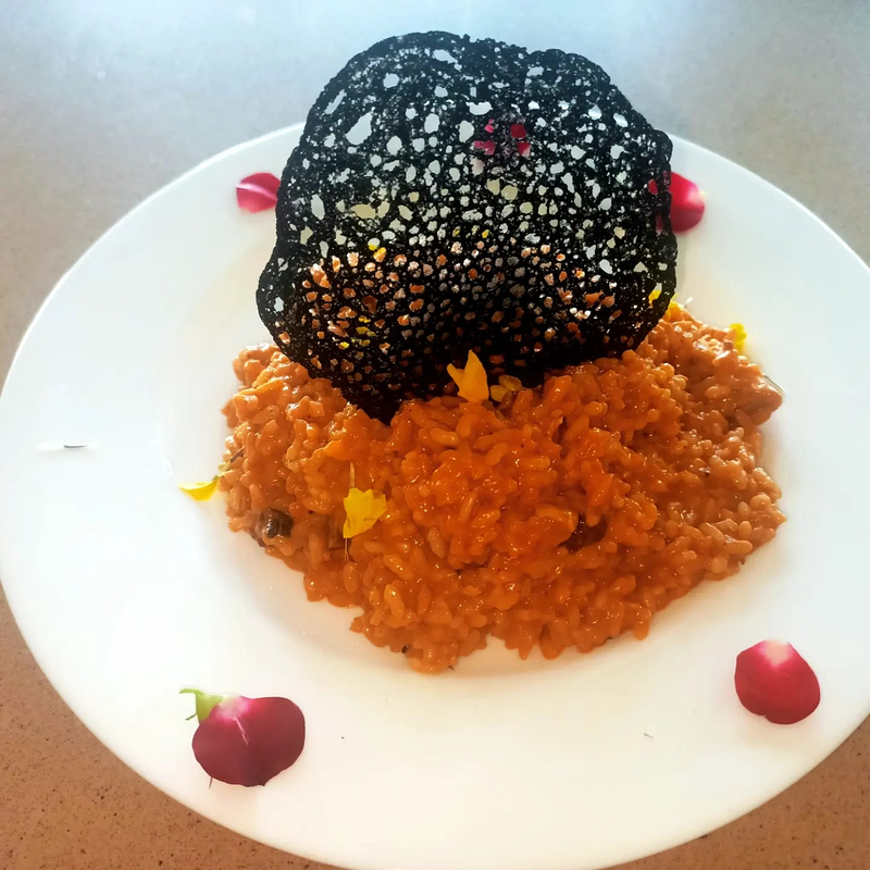 La Terrasseta del Parc 19