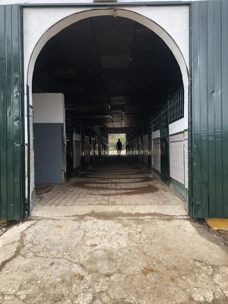 Hipica El Carrizal De Cubas 29