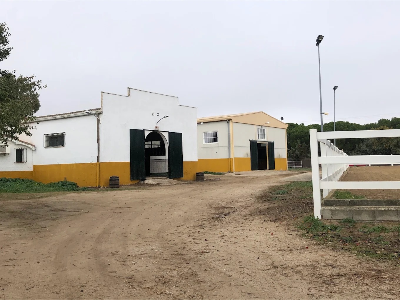 Hipica El Carrizal De Cubas 11