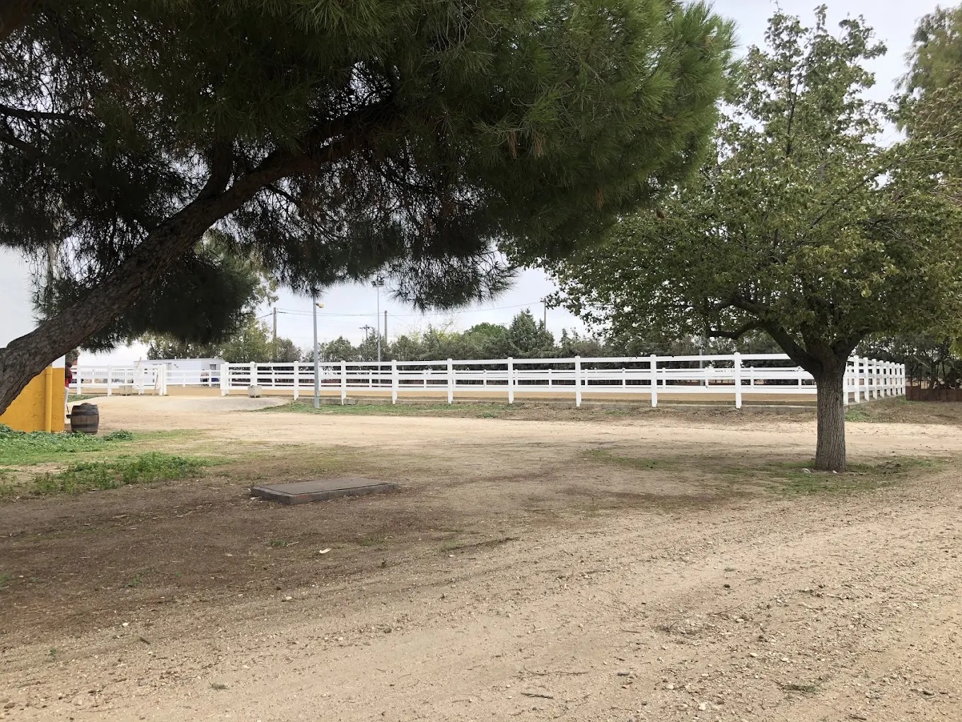 Hipica El Carrizal De Cubas 4