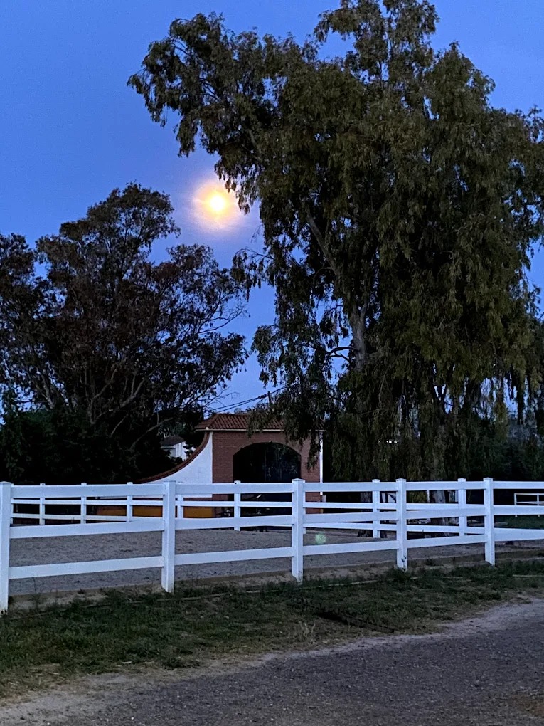 Hipica El Carrizal De Cubas 28