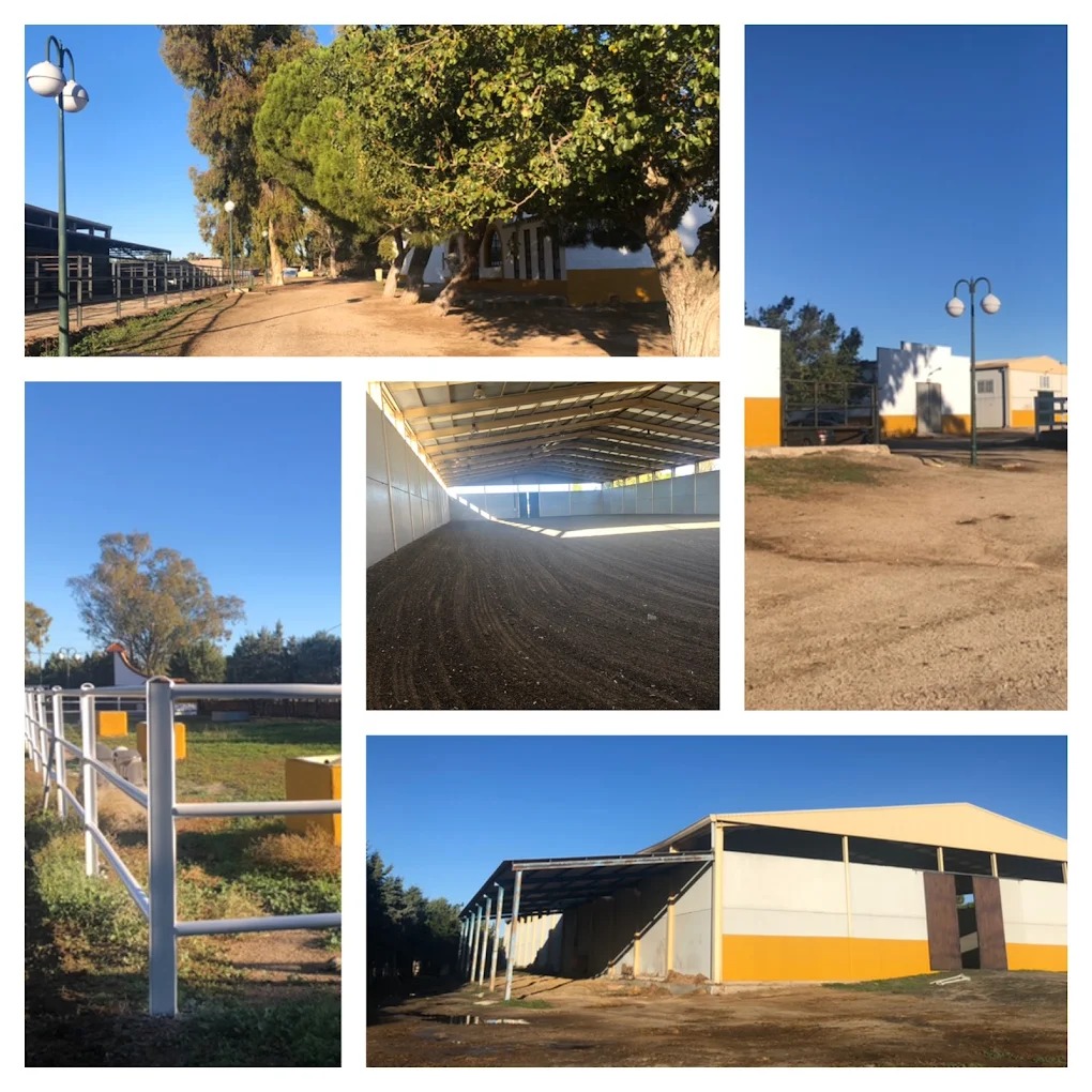 Hipica El Carrizal De Cubas 30