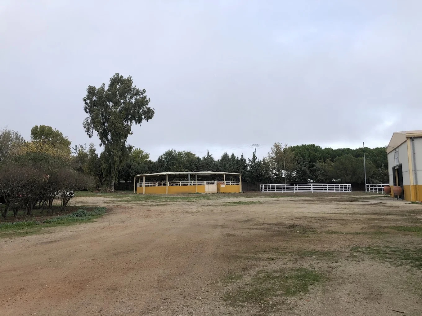 Hipica El Carrizal De Cubas 5