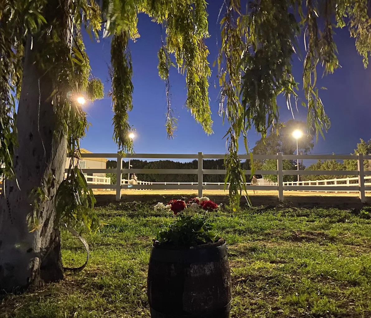 Hipica El Carrizal De Cubas 25