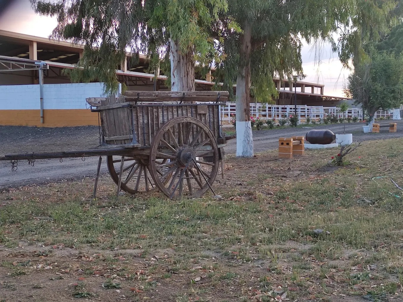 Hipica El Carrizal De Cubas 8