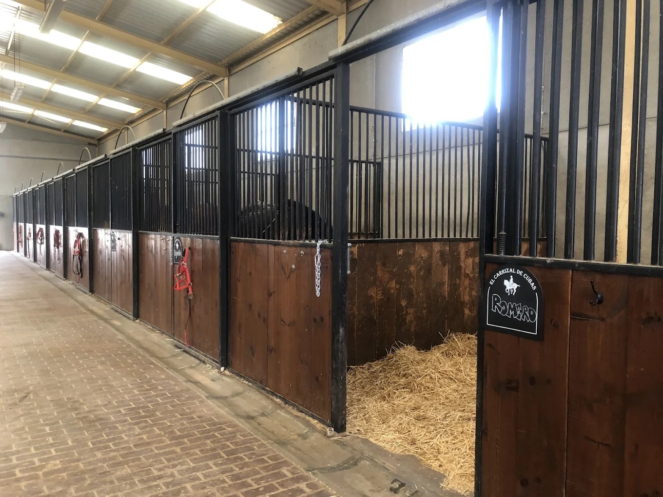 Hipica El Carrizal De Cubas 9